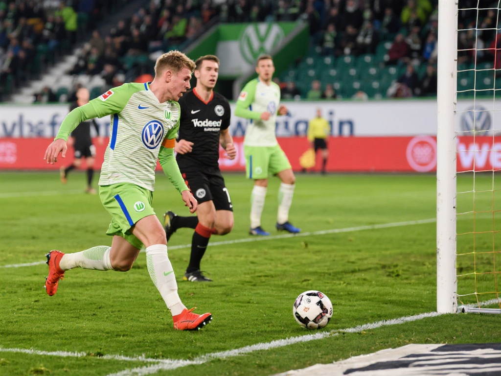 却能在手机 却能在手机